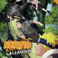 Best reviews of 🎉 Naruto Unleashed: The Complete Series 8 (DVD Box Set) Hayato Date 🔔