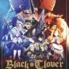 Best deal 🔔 Black Clover: Complete Season One (DVD Box Set) Tatsuya Yoshihara 🌟