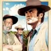 Best deal ❤️ Rawhide: The Fourth Season (DVD Box Set) Robert Cabal, James Murdock 🎁