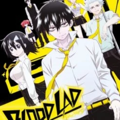 Budget 😀 Blood Lad: Complete Series (DVD) Shigeyuki Miya 😍