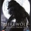 Outlet 🎉 Werewolf - The Beast Among Us (DVD) Ana Ularu, Louis Morneau 🔥