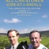 Cheap 🌟 All Creatures Great and Small: Complete Series (DVD Box Set) John Sharp, Margaretta Scott 🔥