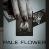 Promo 🧨 Pale Flower - The Criterion Collection (Blu-ray) Masahiro Shinoda 🤩