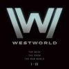Brand new 🌟 Westworld: Seasons 1-3 (DVD Box Set) Angela Sarafyan, Rodrigo Santoro 🥰