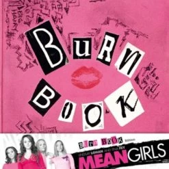 Cheap ❤️ Mean Girls (Blu-ray with DVD - Double Play (15th Anniversary Edition)) Lizzy Caplan, Jonathan Bennett ⭐