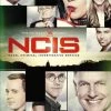 Flash Sale ⌛ NCIS: The Fifteenth Season (DVD Box Set) Sean Murray, Michael Weatherly 🥰