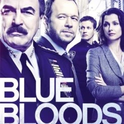 Cheapest 🛒 Blue Bloods: The Ninth Season (DVD Box Set) Will Estes, Bridget Moynahan ❤️