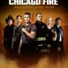 Hot Sale ⭐ Chicago Fire: Seasons One-nine (DVD Box Set) Joe Minoso, Jon Seda 🔔