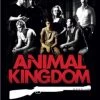 Best Sale 🤩 Animal Kingdom (Blu-ray Steel Book) Joel Edgerton, Luke Ford 😍