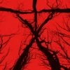 Hot Sale 😀 Blair Witch (Blu-ray Steel Book with UltraViolet Copy) Wes Robinson, James Allen McCune ⭐