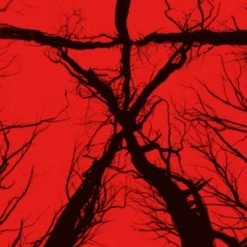 Hot Sale 😀 Blair Witch (Blu-ray Steel Book with UltraViolet Copy) Wes Robinson, James Allen McCune ⭐