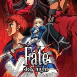 Wholesale 🥰 Fate Stay Night: Complete Collection (DVD Box Set) Yuji Yamaguchi ❤️