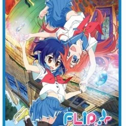 Best reviews of 🧨 Flip Flappers: Complete Collection (DVD) Kiyotaka Oshiyama 👍