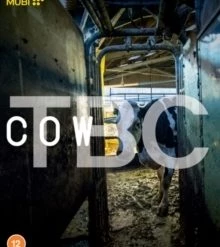 Best Sale 😉 Cow (Blu-ray) Andrea Arnold 😉