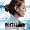 Promo ⌛ Grey's Anatomy: Complete Seventeenth Season (DVD Box Set) Kelly McCreary, Giacomo Gianniotti ✨